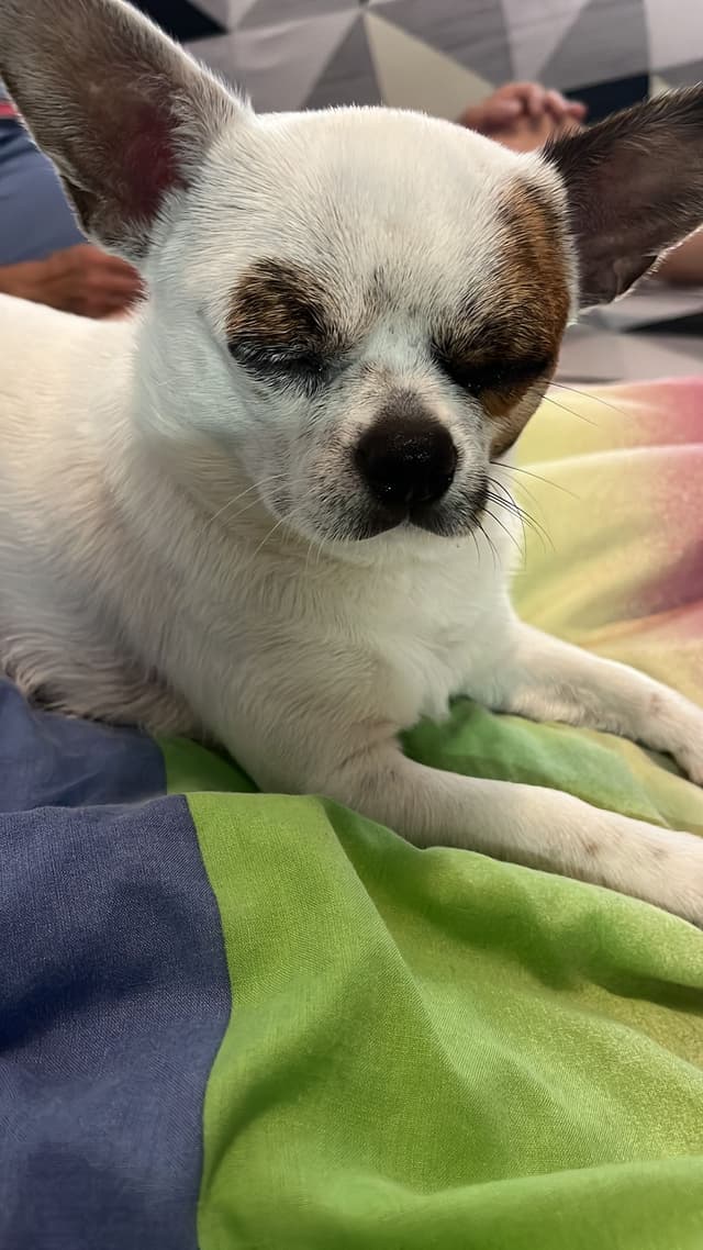 Carlos y Romeo juntos